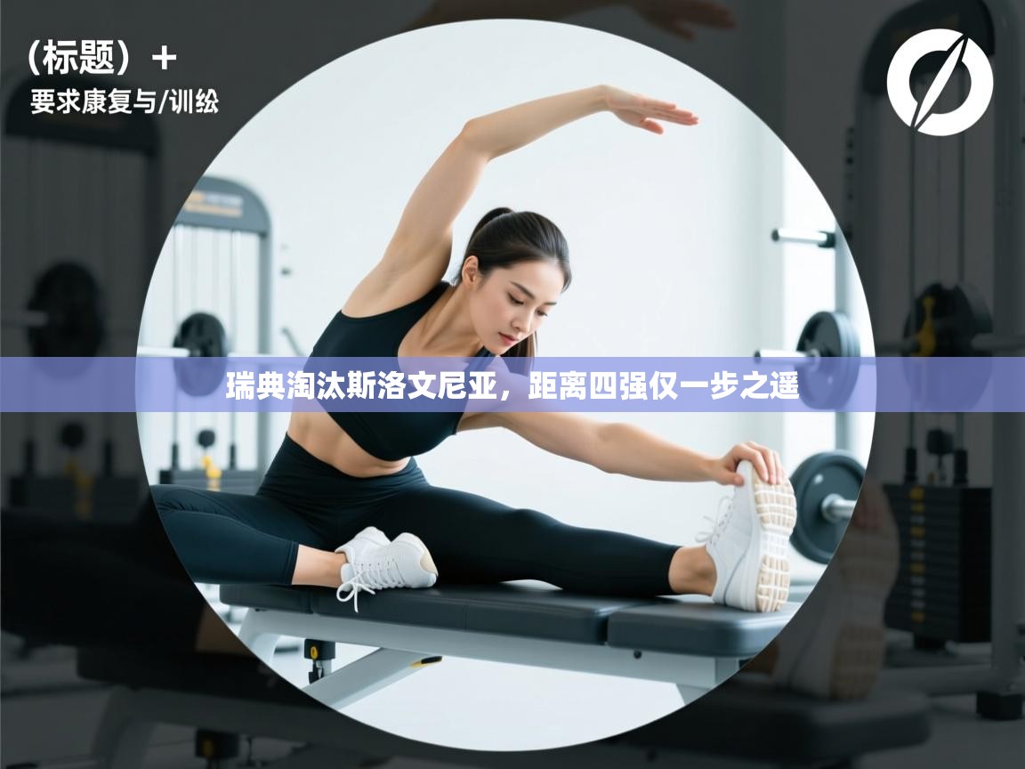 瑞典淘汰斯洛文尼亚,距离四强仅一步之遥 第2张