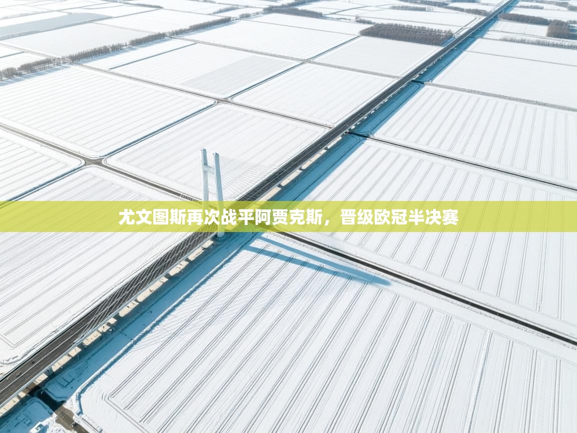 尤文图斯再次战平阿贾克斯，晋级欧冠半决赛  第2张