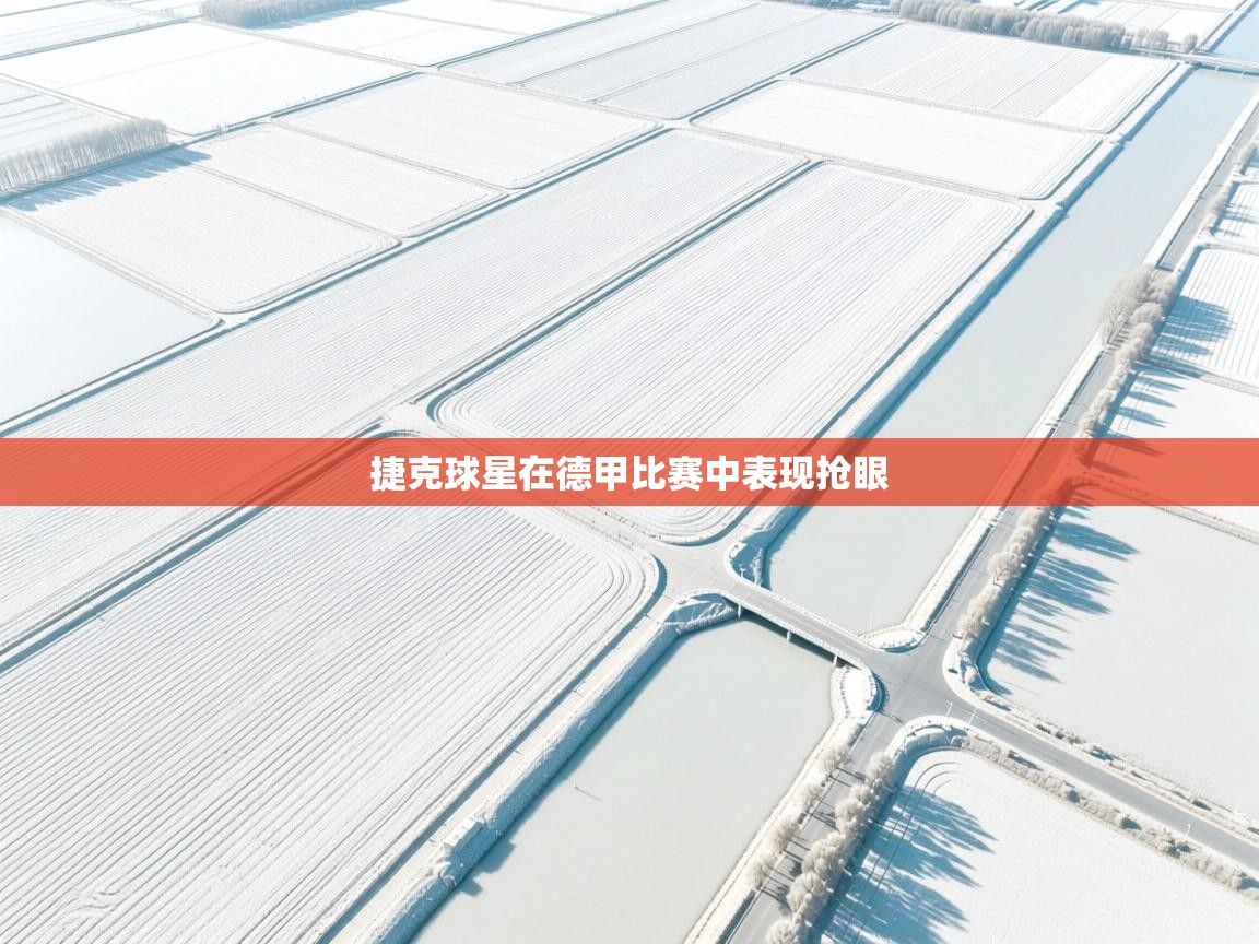 捷克球星在德甲比赛中表现抢眼  第1张