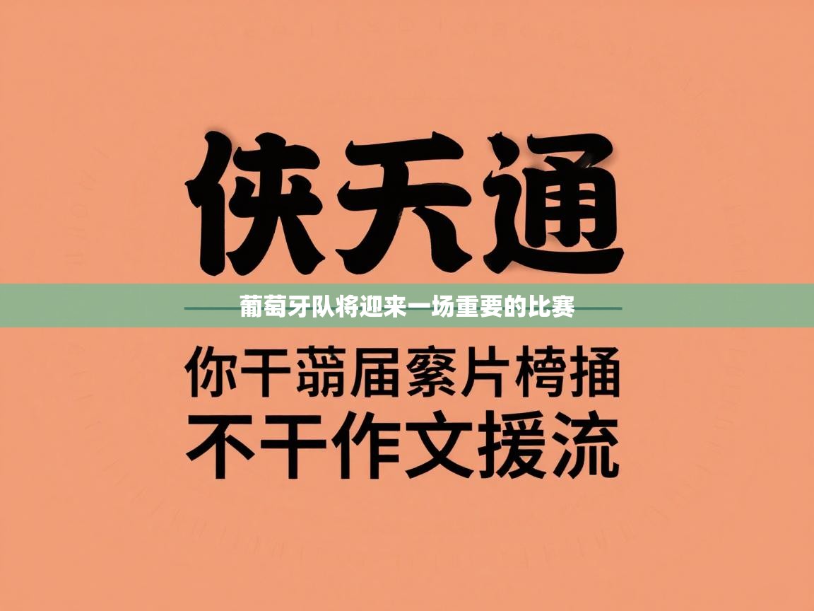 葡萄牙队将迎来一场重要的比赛