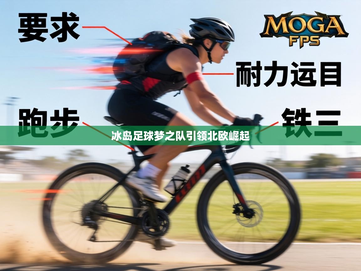 冰岛足球梦之队引领北欧崛起  第2张