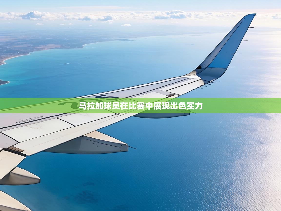 马拉加球员在比赛中展现出色实力
